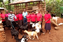 RWEMEREIRE I WOMEN GOAT REARING PROJECT UNDER UWEP